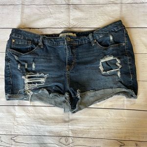 Torrid Denim Shorts